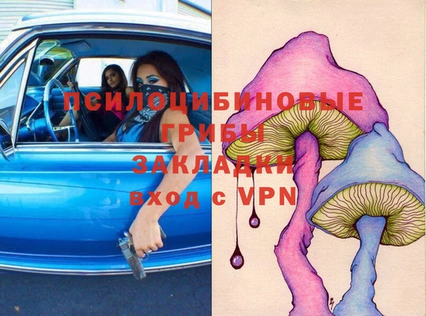 эйфоретик Покачи